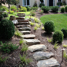 Path into woods