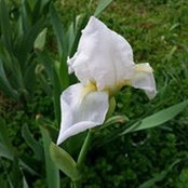 April Vickery's photo