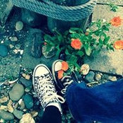 Patricia Harm's photo
