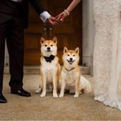 Jacqueline Gerhart's photo