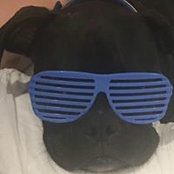 Joey Kipnis's photo
