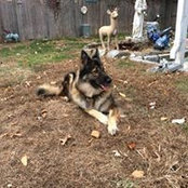 Heather Overton's photo