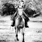 Janet Healey's photo