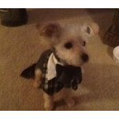 Joan Pesta's photo