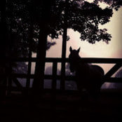Laura McWane's photo