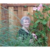 Yvonne Wehr's photo