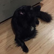 Heather Dubnick's photo