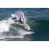 Max Geesey's photo