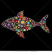 Photo de Fish Shen