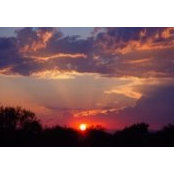 Daniel Smith's photo