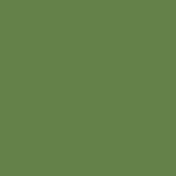 Talipot Palm - Paint