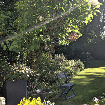 Sunlight streams into the garden