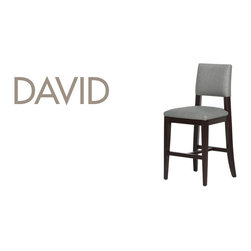 Daivd Bar Stool - Bar Stools And Counter Stools