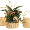 Wald Imports Natural Willow Decorative Nesting Storage Baskets, Set of 4