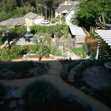 Fairlands Back, California Natives and Edibles