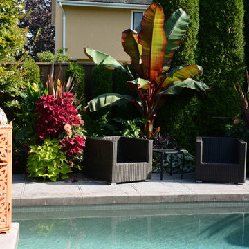 Poolside Garden and Containers