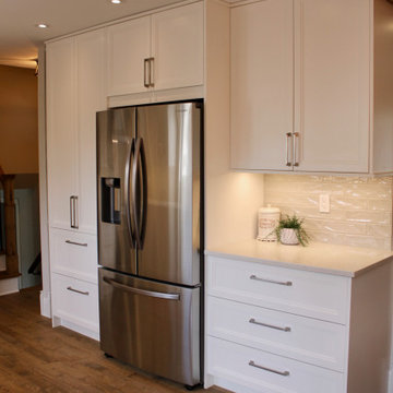 Pincourt Kitchen-Swedish Door