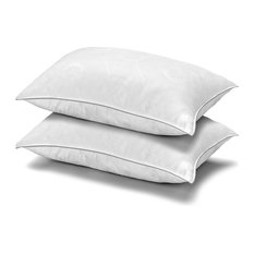 2-Pack Micronone Allergen Free Gel Fiber Soft Stomach Sleeper Pillows, Queen