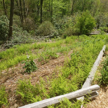Landslide from Water & Soil Erosion Backyard Transformation