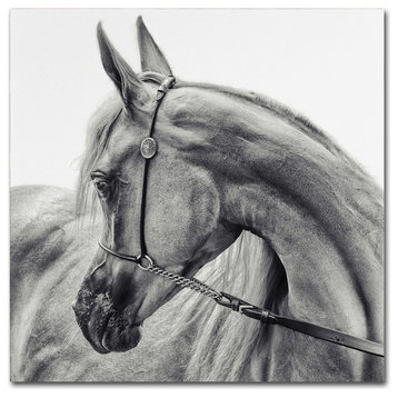 Piet Flour 'The Arabian Horse' Canvas Art, 24x24