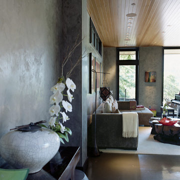Marin County,  Venetian Plaster