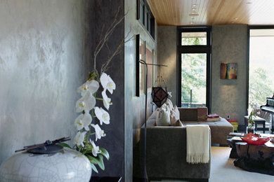 Living room - contemporary living room idea in San Francisco with gray walls