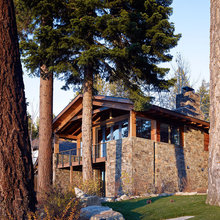 At Home in the Woods