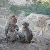 Bohdi Jansen's photo