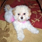 Khloe Kingston's photo
