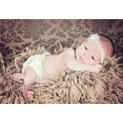 Shawn Sunderman's photo