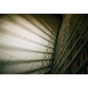 Chelun Ou's photo