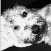 Photo de Keela F