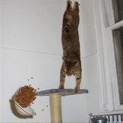 Joanne Doty Bager's photo