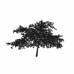 4M Land Management