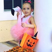 Amanda Kiefer's photo