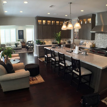 Burr Ridge IL Repeat Client Condo Downsizing