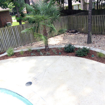 Lagoon Style Pools