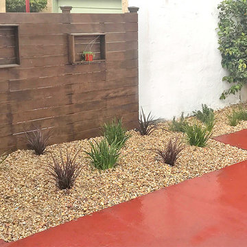 Gravel with Drought-tolerant Plants