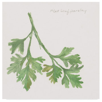 Chris Paschke 'Flat Leaf Parsley' Canvas Art, 24"x24"
