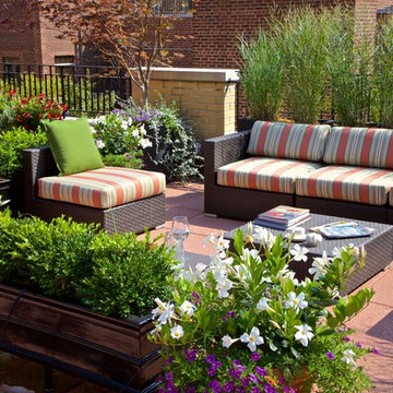 New York Penthouse Garden