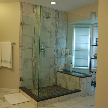Vernon Hills Master Bathroom