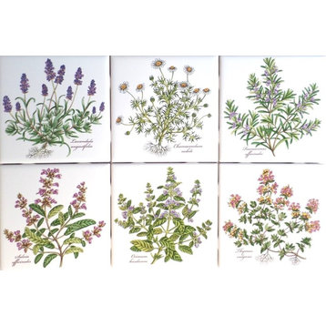 Botanical Herb 6 Ceramic Tiles Kiln Fired Back Splash Decor Basilicum Lavendula