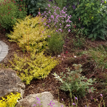 Lush Faux Creek Bed - Front Yard
