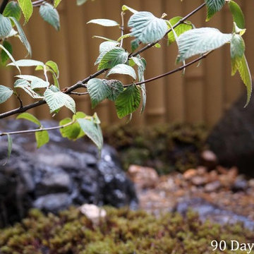 Tiny Kyoto Tsuboniwa Garden
