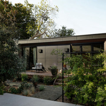 Modern 1 Bedroom ADU