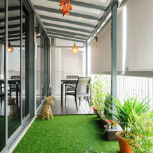 Dog Balcony Area