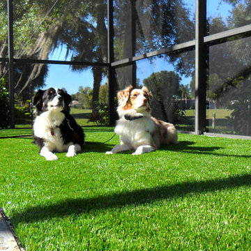 Residential Lawn