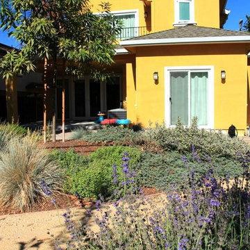 Vivide colors garden