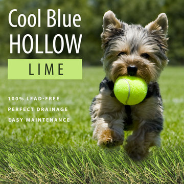 Cool Blue Hollow Lime Artificial Grass by Global Syn-Turf