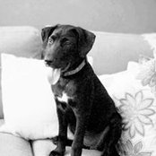 Stacey Freeman's photo